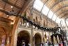 diplodocus2901a