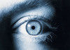 eye