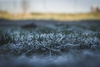 echo-grid-193160-unsplash