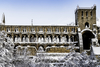 webp.net-resizeimage (1)