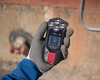 g7c with ptt-v2