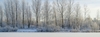 Winter image