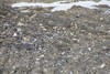 businessman jailed for dangerous waste crimes