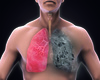 how dust harms the human body